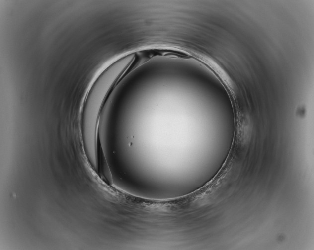 X0000099311004200805021310
