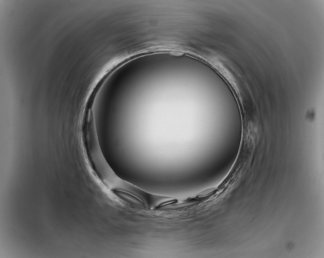 X0000099311005200805021310