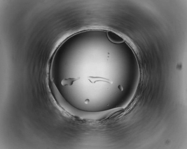 X0000099311006200805021310