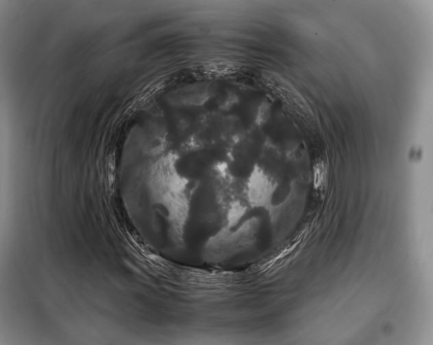 X0000099311011200805021309