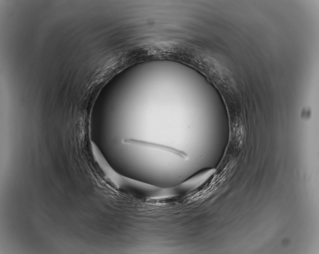 X0000099311012200805021309