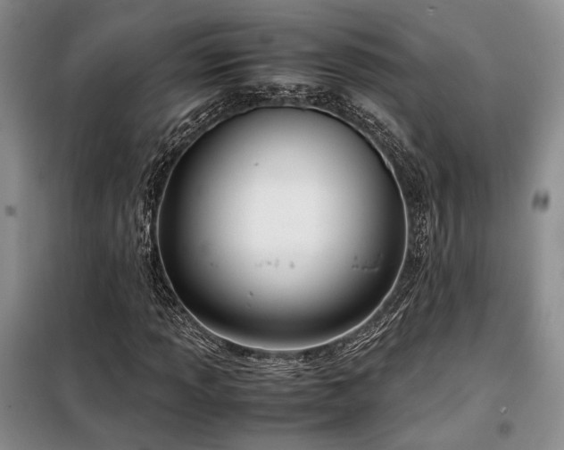X0000099311013200805021309