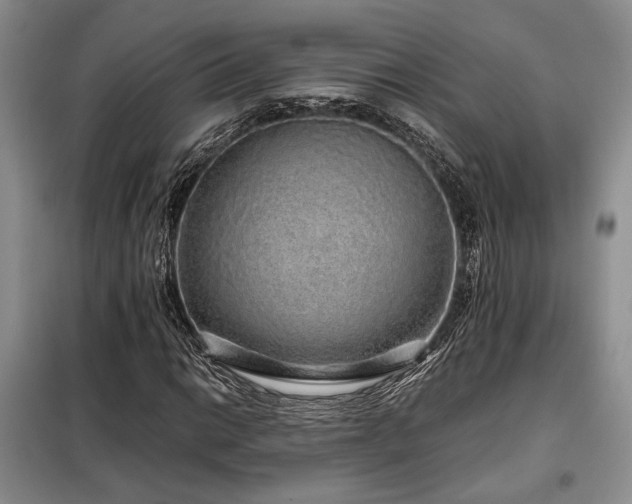 X0000099311014200805021309