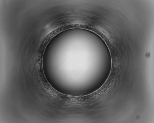 X0000099311015200805021309