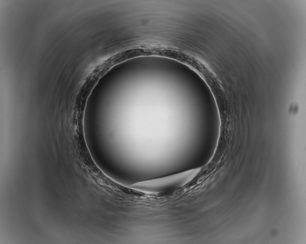 X0000099311016200805021309