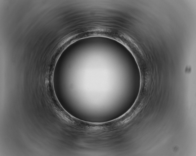 X0000099311017200805021309