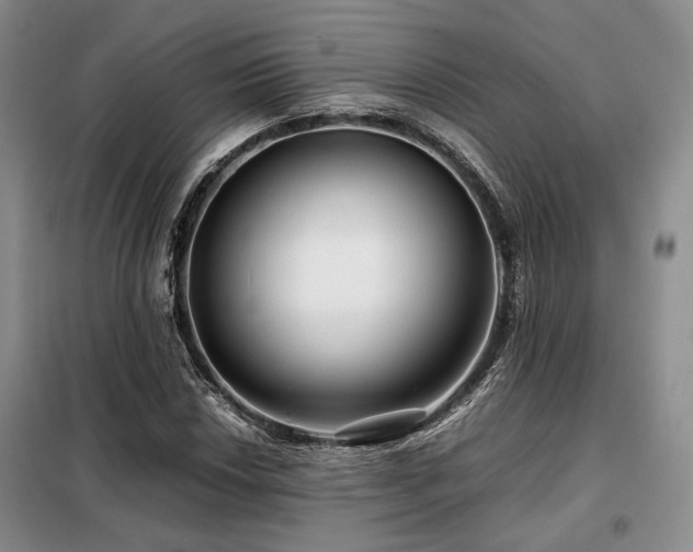 X0000099311018200805021309
