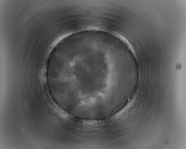 X0000099311019200805021309