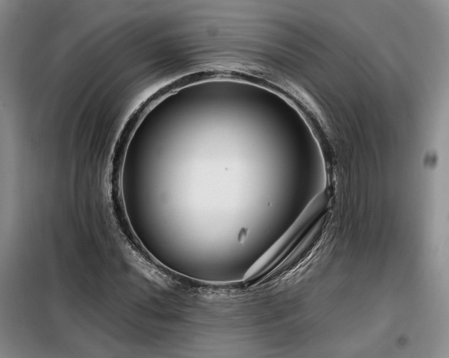 X0000099311020200805021309