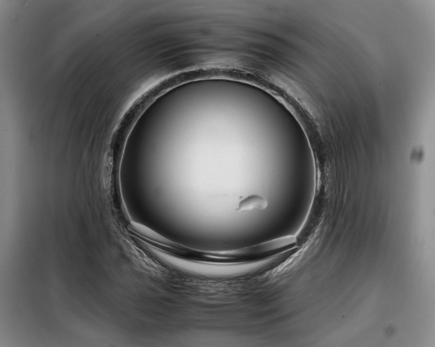 X0000099311021200805021309