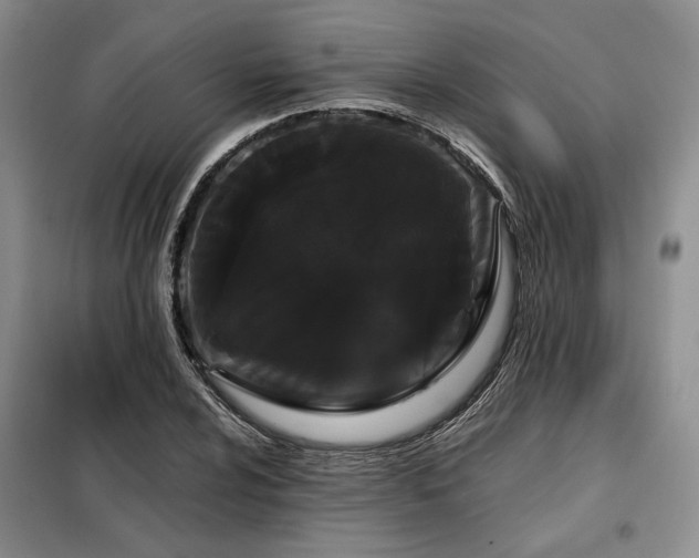 X0000099311024200805021309