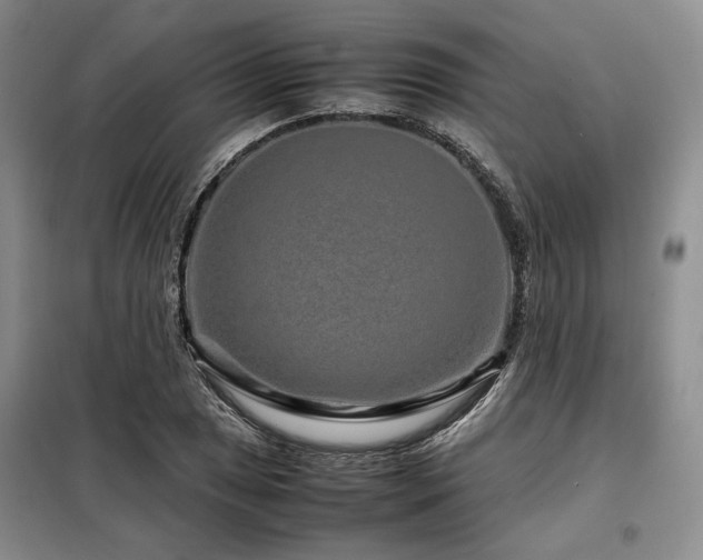 X0000099311025200805021309