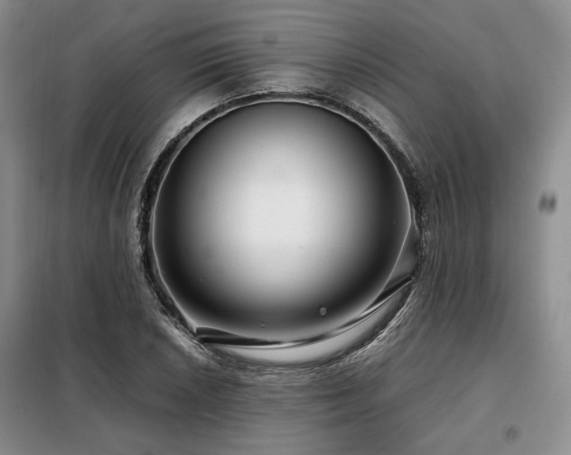 X0000099311026200805021309