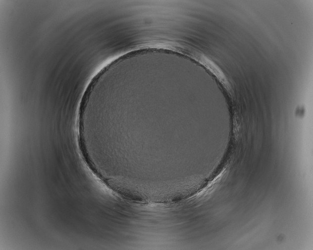 X0000099311028200805021309