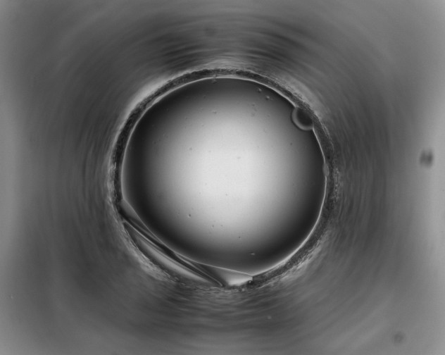 X0000099311029200805021309
