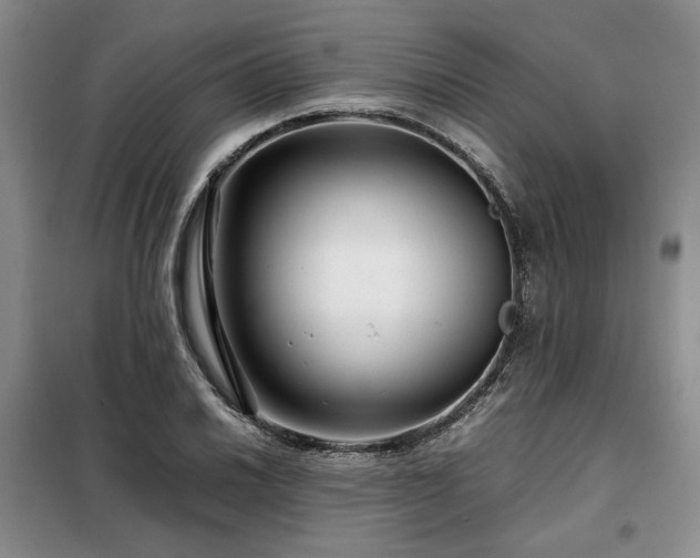 X0000099311030200805021309