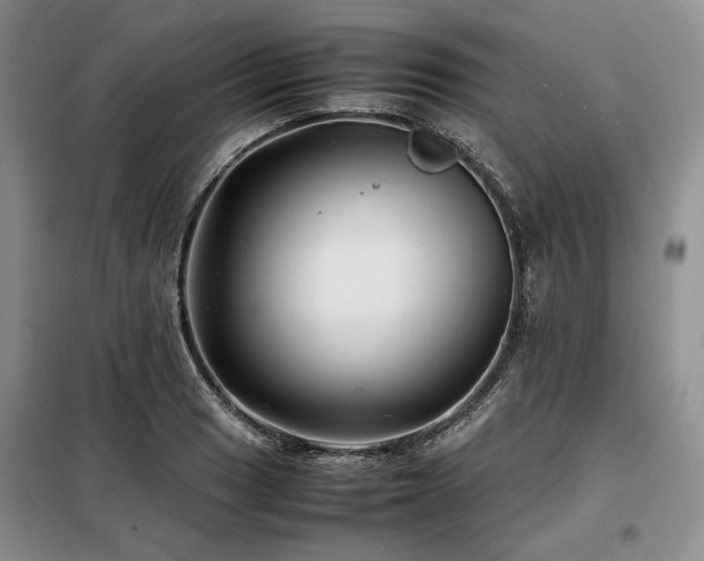 X0000099311033200805021309