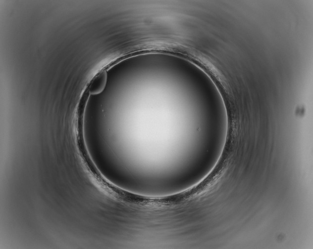 X0000099311034200805021309