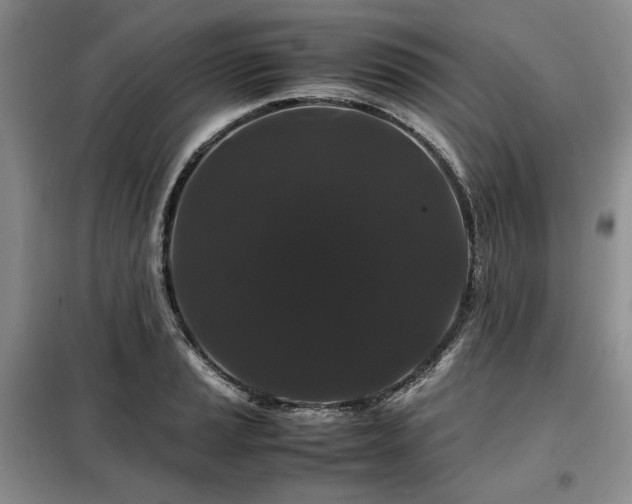 X0000099311037200805021309