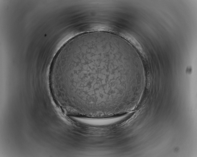X0000099311039200805021310