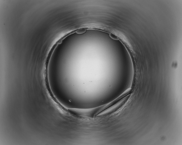 X0000099311040200805021310
