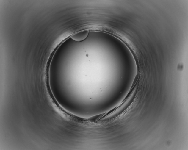 X0000099311042200805021310