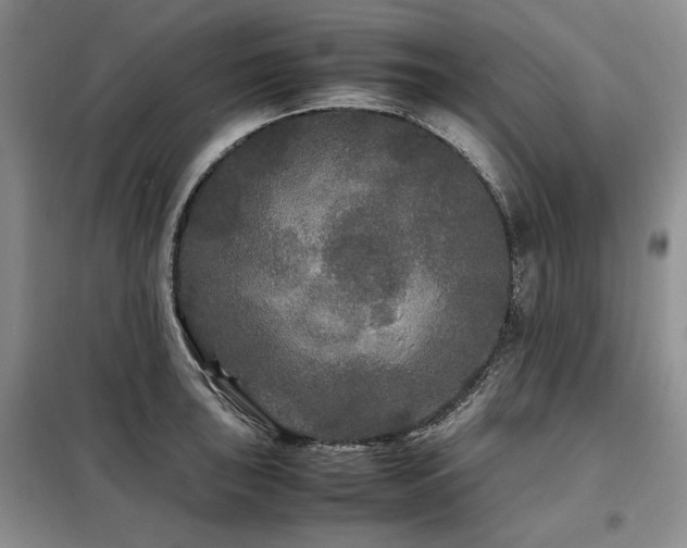 X0000099311043200805021310