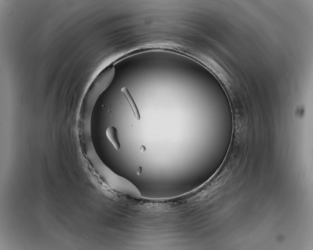 X0000099311044200805021310