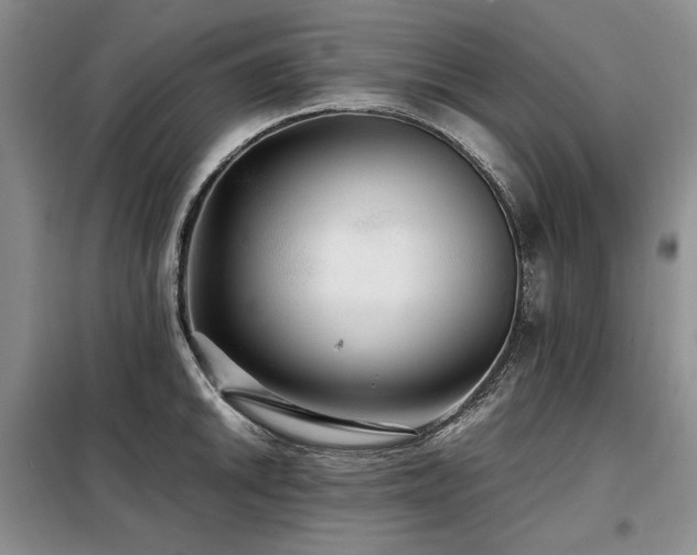 X0000099311046200805021310