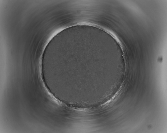 X0000099311048200805021310