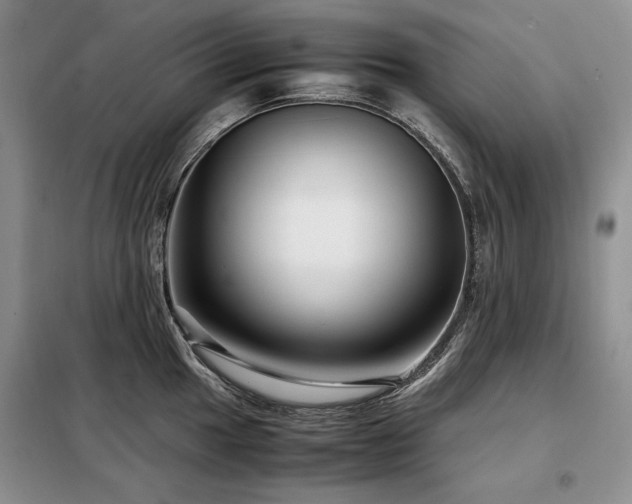 X0000099311049200805021310