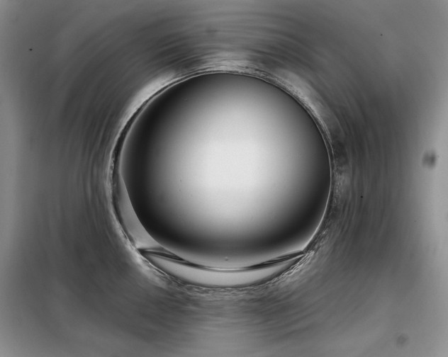 X0000099311050200805021310