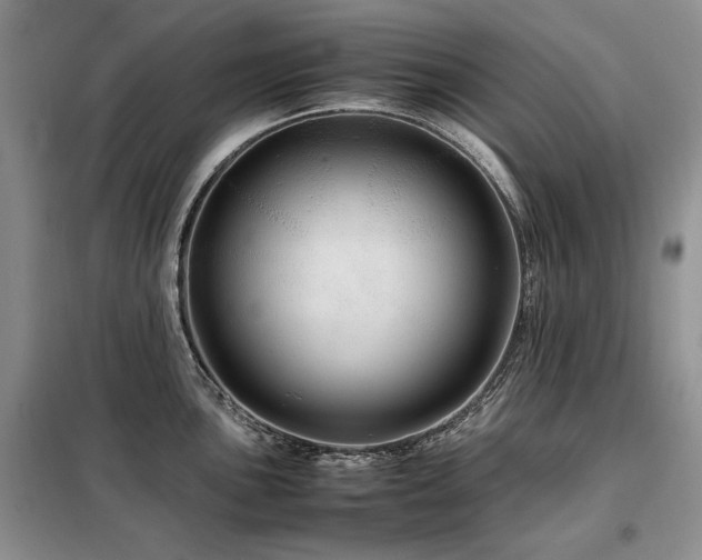 X0000099311051200805021310