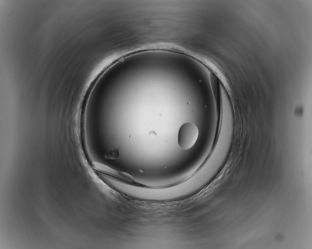 X0000099311054200805021310