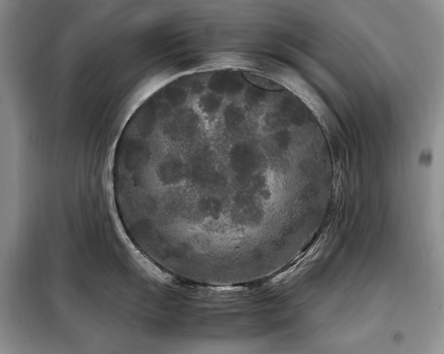 X0000099311055200805021310