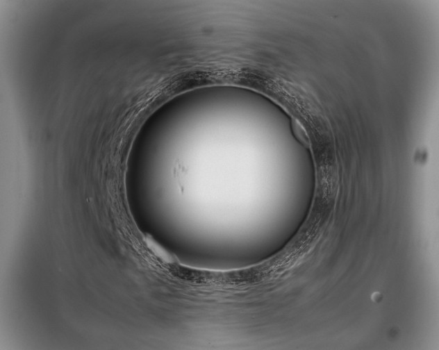 X0000099311057200805021309