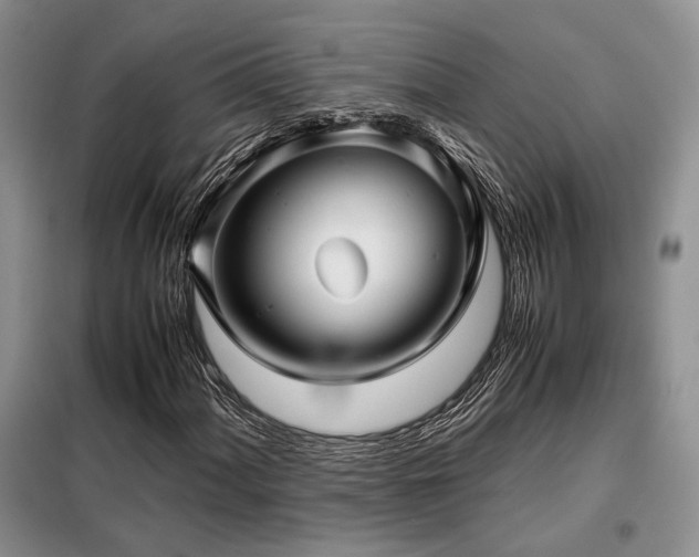 X0000099311060200805021309