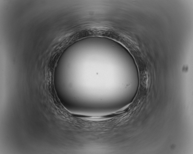 X0000099311061200805021309
