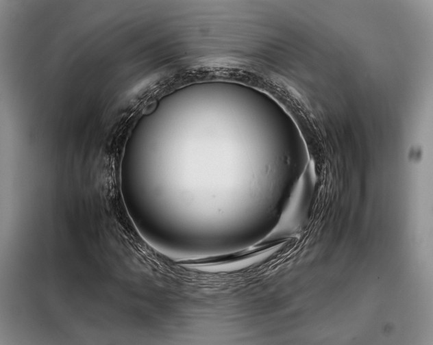 X0000099311062200805021309