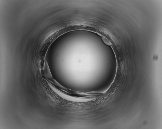 X0000099311064200805021309