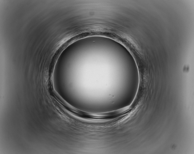 X0000099311065200805021309