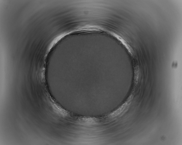 X0000099311066200805021309