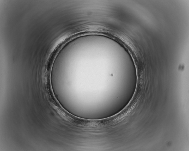 X0000099311067200805021309