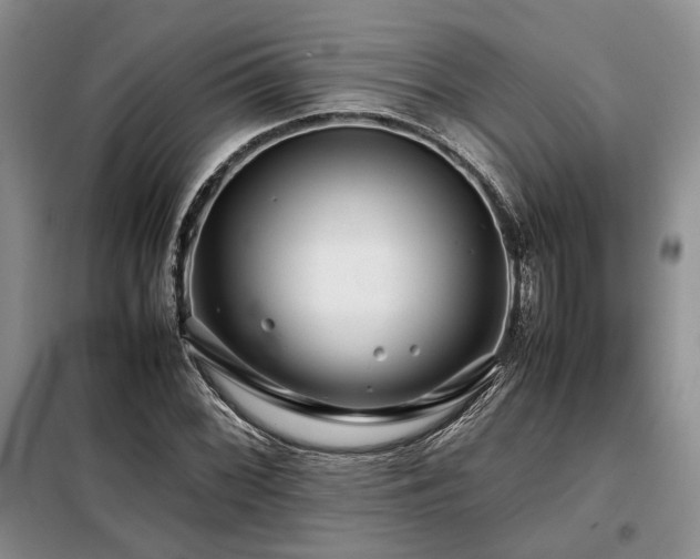 X0000099311068200805021309