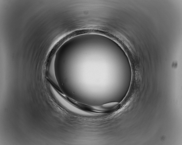 X0000099311069200805021309