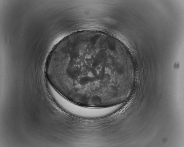 X0000099311071200805021309