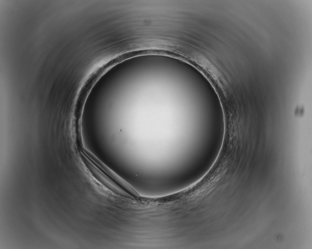 X0000099311072200805021309