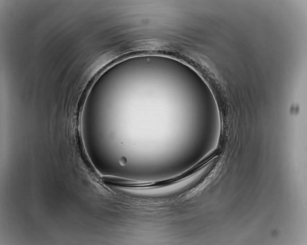 X0000099311073200805021309