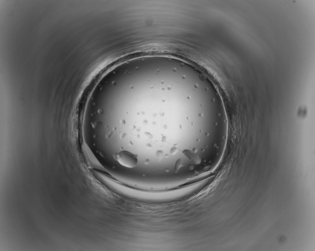 X0000099311075200805021309