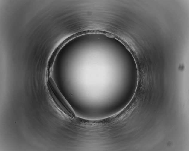 X0000099311076200805021309